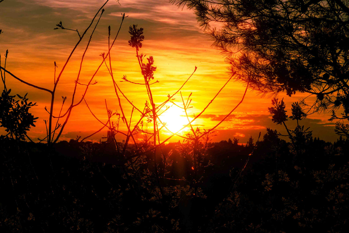 Sunset south of France